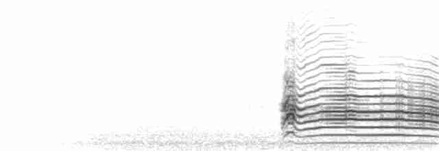 Белохвостая агуйя - ML398001741