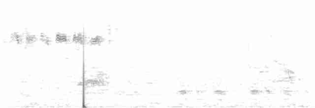 Арауканская чачалака - ML398114171