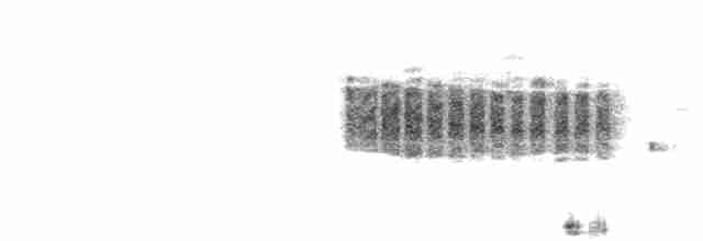 Fauvette babillarde (althaea) - ML398195271