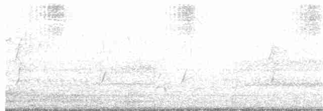 Black-shouldered Kite - ML398242101