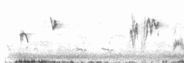 australlerke (javanica gr.) - ML398244351