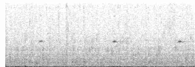 Fan-tailed Grassbird - ML398299401