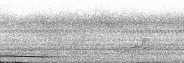 Кораловоклювая воронья кукушка - ML39831