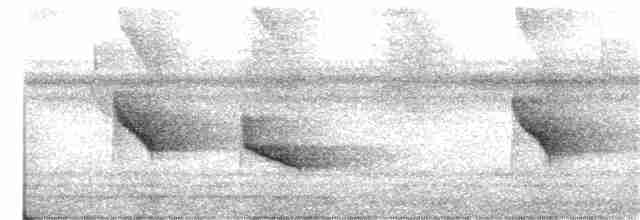 White-throated Shrike-Tanager - ML398322261