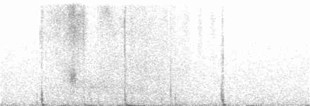 Perija Thistletail - ML398387471