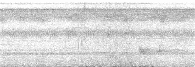 Gray-legged Tinamou - ML398392081