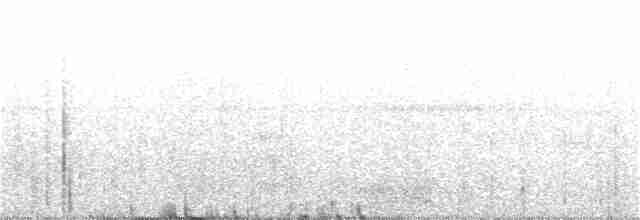 Rostbrust-Ameisendrossel - ML398396601