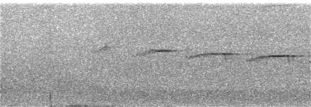 Листовик бурий (підвид andinus) - ML398397701