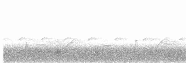 Tinamou à calotte noire - ML398421191