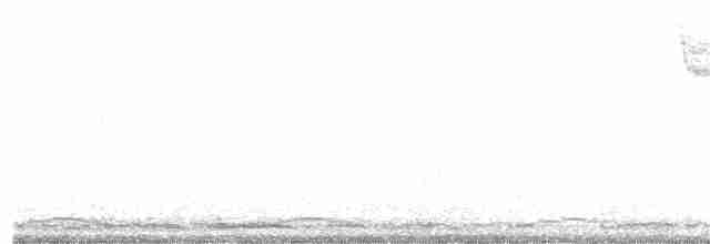 labuť malá (ssp. columbianus) - ML398470981