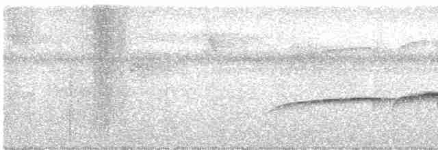 Hairy-crested Antbird - ML398500681