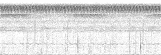 Gray-legged Tinamou - ML398507081