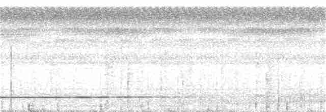 Gray-legged Tinamou - ML398507121