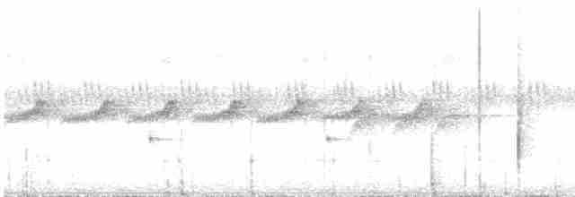 Gray-bellied Antbird - ML398508441