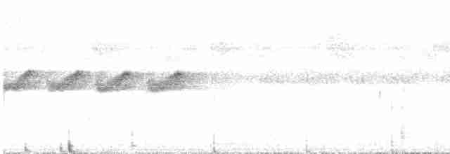 Gray-bellied Antbird - ML398508531