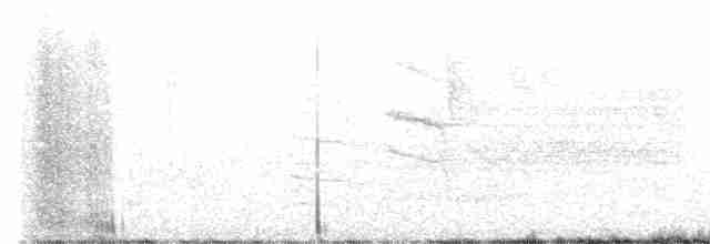 arawakvireo - ML398559011