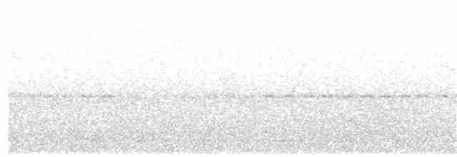 Graubrust-Dickichtschlüpfer - ML398686121