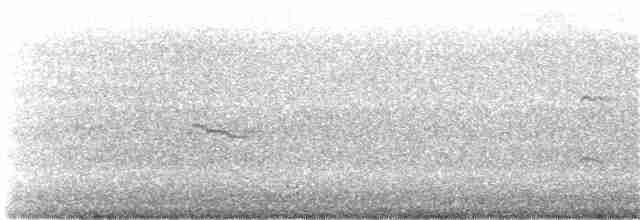 Eurasian Oystercatcher - ML398820371
