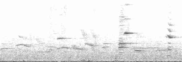 Méliphage carillonneur - ML398948481