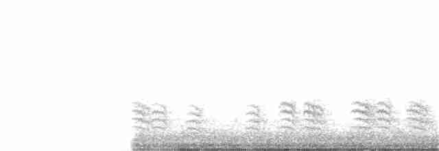 Weißbrustkleiber - ML398950111