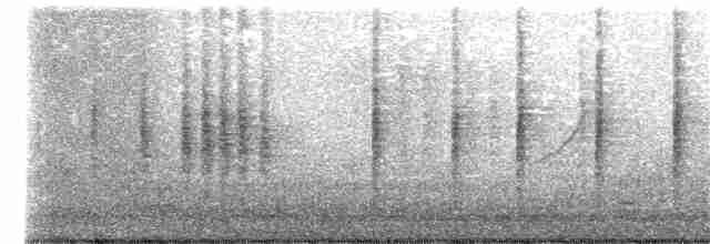 Eastern Orphean Warbler - ML399032071