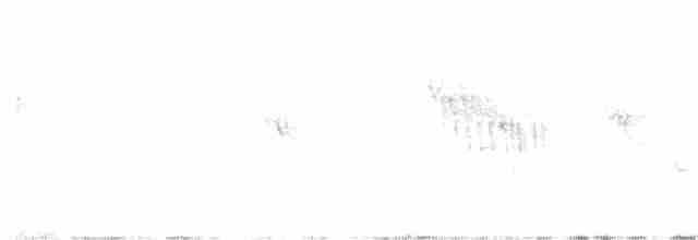 Тихоокеанский крапивник - ML399059331