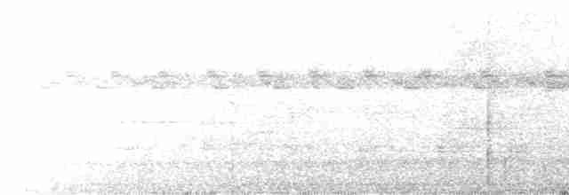 Длинноклювый улиткоед (uncinatus) - ML399086951