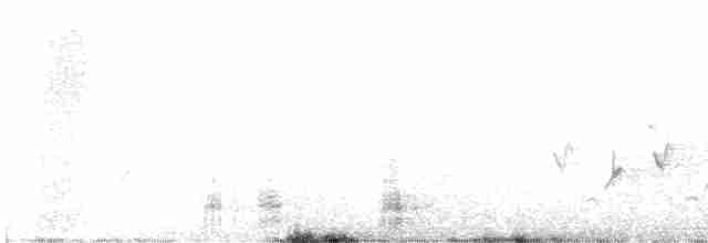 Common Merganser (North American) - ML399126231