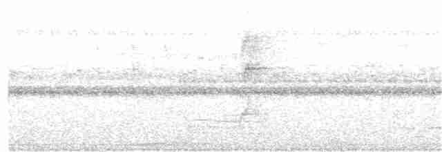 Streifenbrust-Ameisendrossel - ML399127521