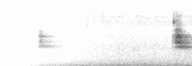 Grass Wren (Northern) - ML399132211
