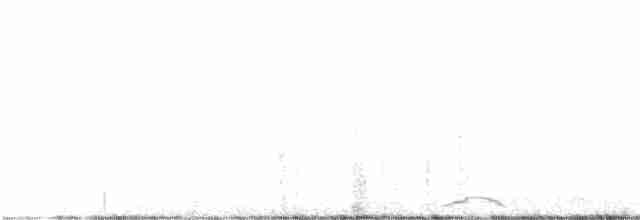 labuť malá (ssp. columbianus) - ML399153161