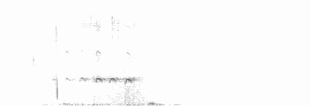 Whimbrel (Hudsonian) - ML399158891