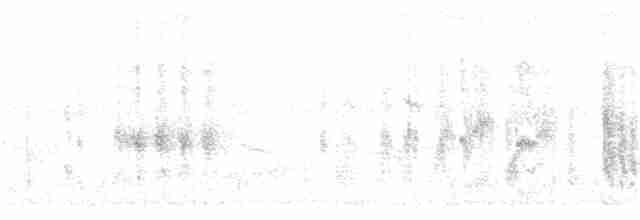 Колібрі-шаблекрил юкатанський (підвид excellens) - ML399164621