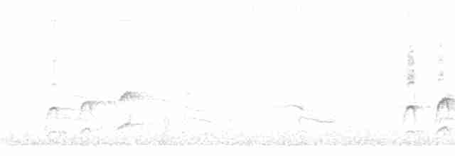 Rotbrust-Dickichtschlüpfer - ML399169521