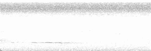 Белохвостый райский зимородок - ML399274361