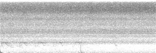 Белохвостый райский зимородок - ML399332331