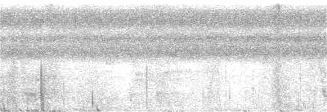 Бледный амазон (guatemalae/virenticeps) - ML399370121