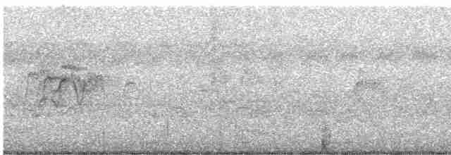 Dendrocygne siffleur - ML399638671