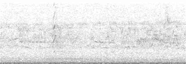Dendrocygne siffleur - ML399638681