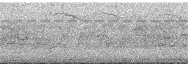 Dendrocygne siffleur - ML399638711