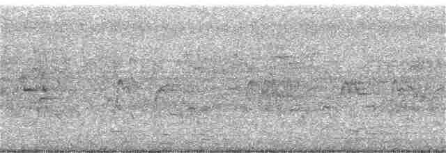 Dendrocygne siffleur - ML399638721