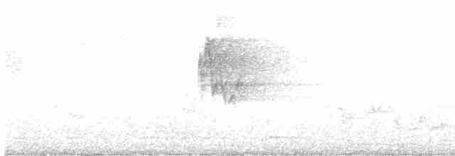 Greenish Warbler - ML399696951