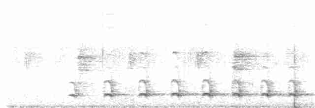 Weißbrust-Ameisenwürger - ML399790551