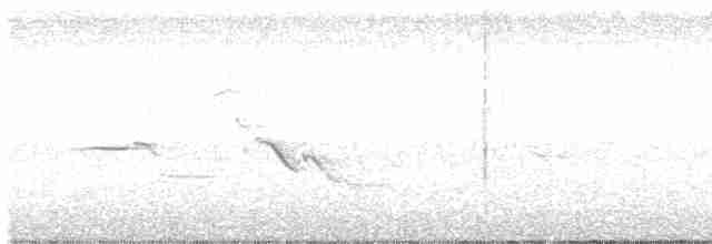 Loggerhead Shrike - ML399866621
