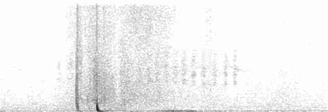 Orite buissonnière (groupe melanotis) - ML399982171