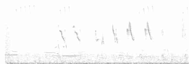 australlerke (javanica gr.) - ML400141291