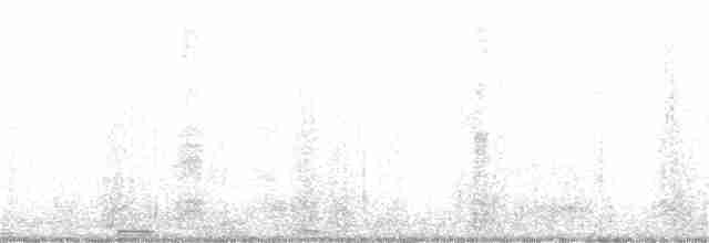Мускусная утка (Одомашенного типа) - ML400939751