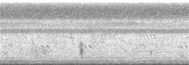 Clamorous Reed Warbler - ML401037171