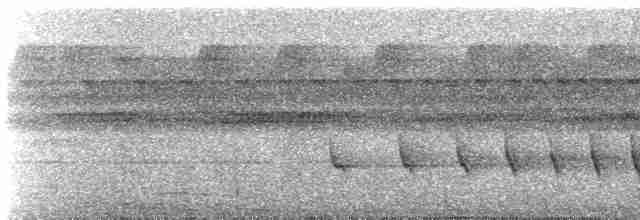 Great Tinamou - ML401111991