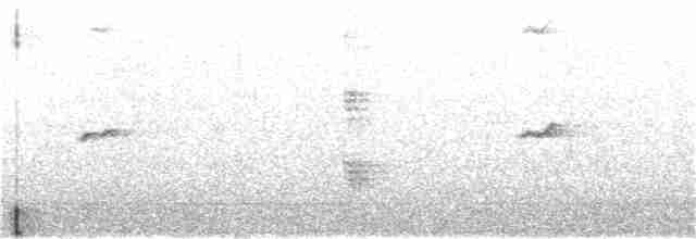 gransanger (tristis) (sibirgransanger) - ML401182541